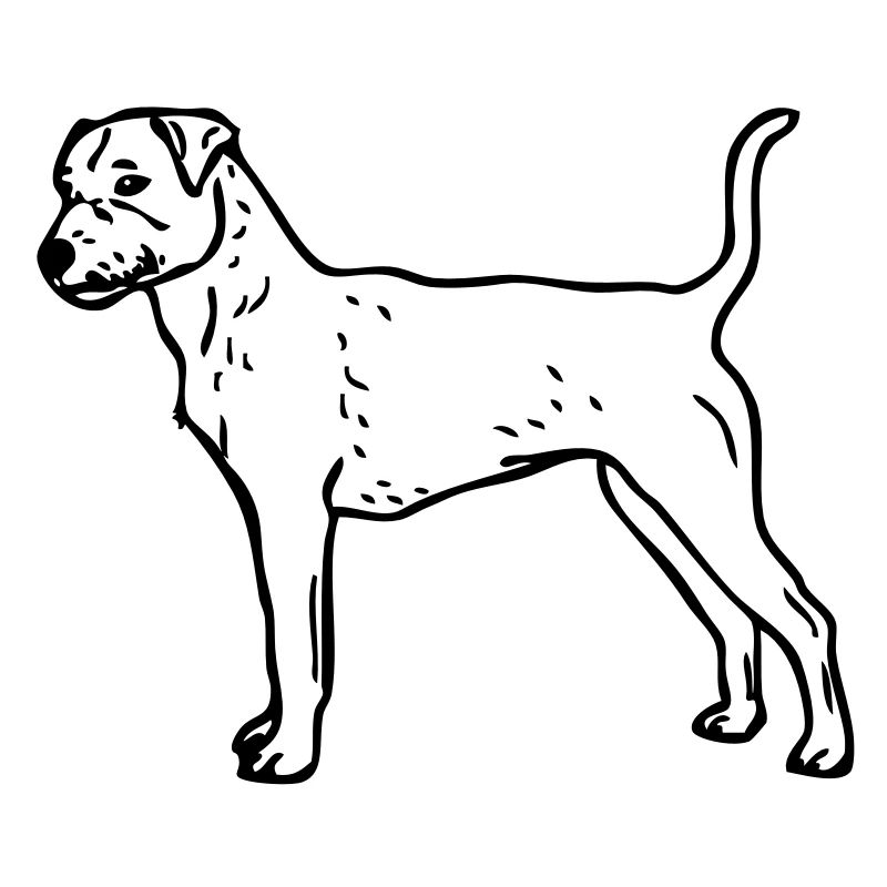 jackrusselsl_06
