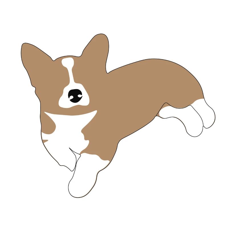 Corgi