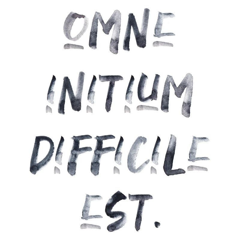 all beginning is difficult Latin quotation scripture