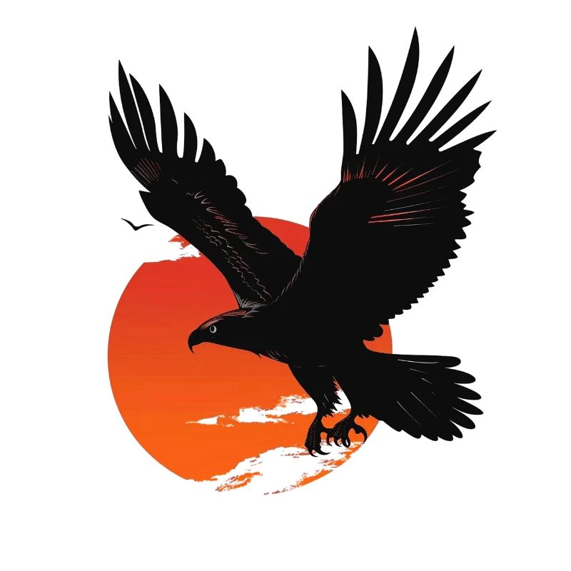 Powerful eagle in sunset