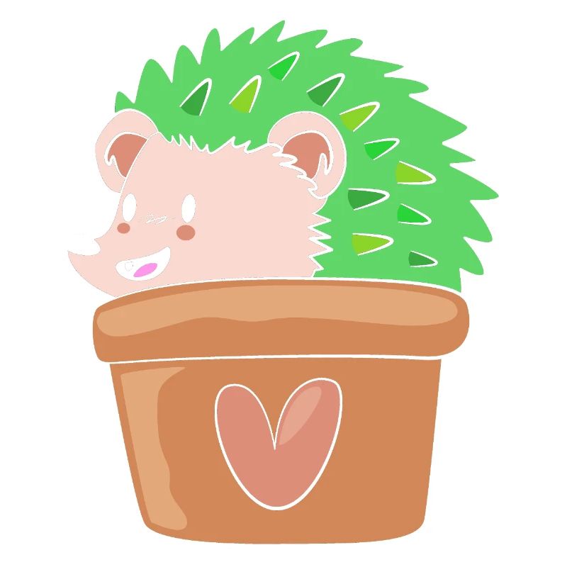 Plante Cactus Cactus