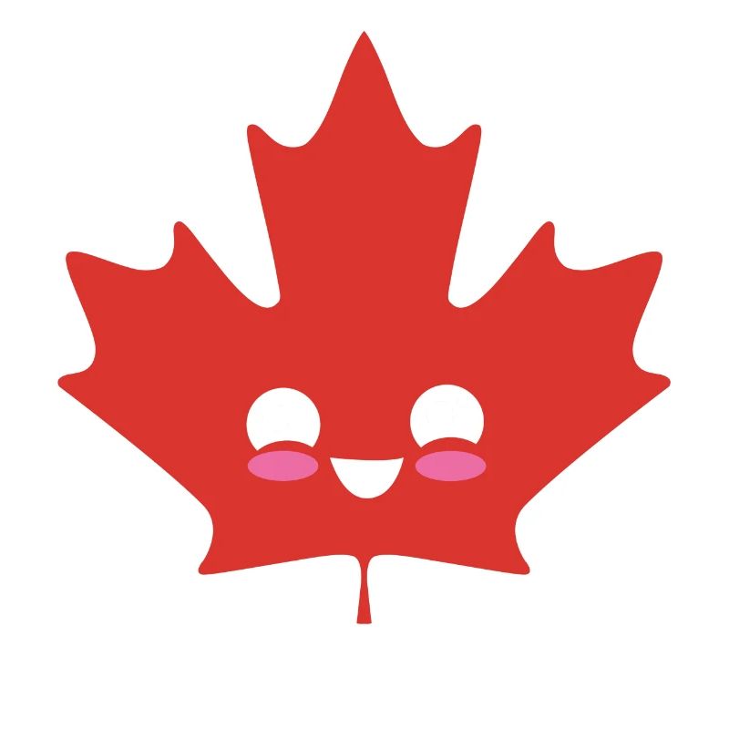 Eh Drapeau canadien Maple Leaf Funny Canada Souvenir