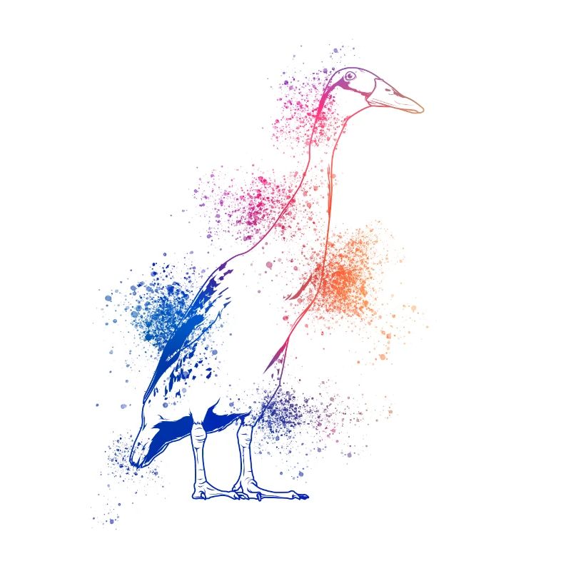 Cour de course colorée