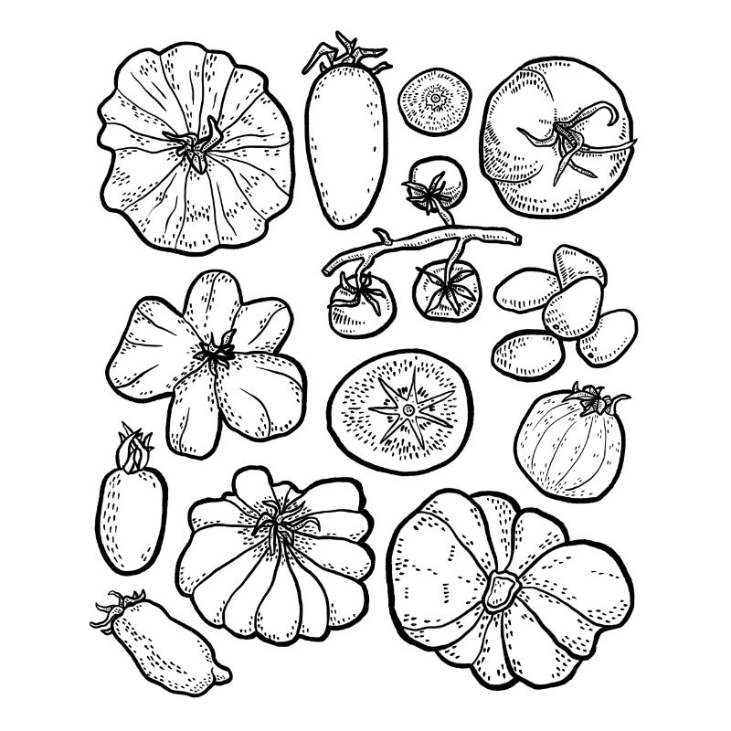 Tomates