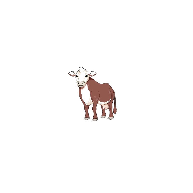 Hereford Daddy - Hereford Beef