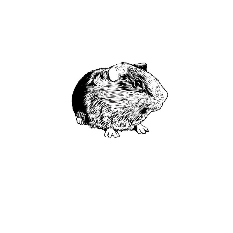 Propriétaire de cochon d’Inde - maman cochon d’Inde