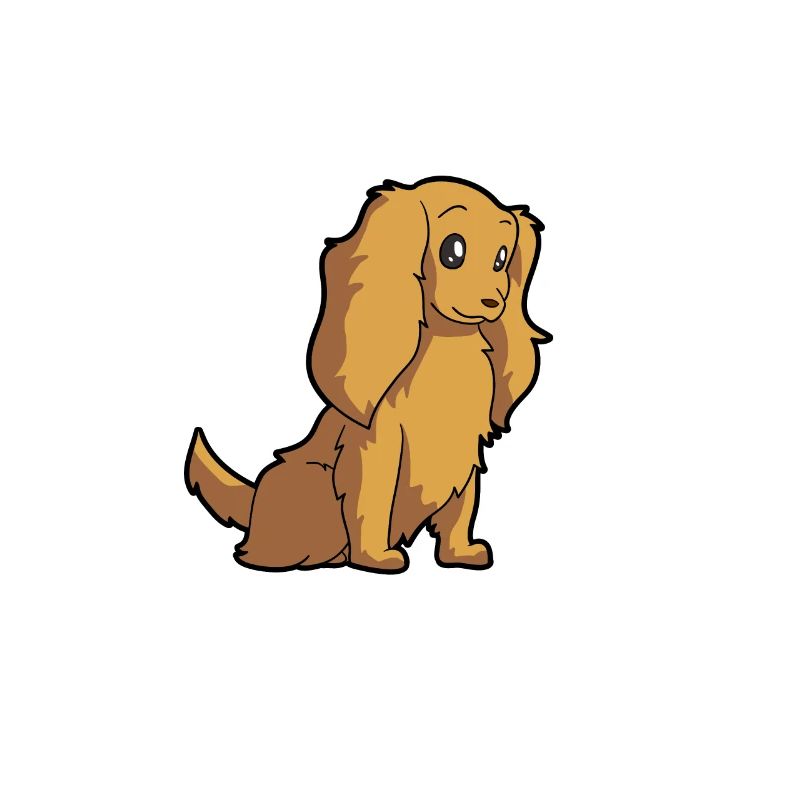 Cocker Spaniel Maman - Cocker Spaniel