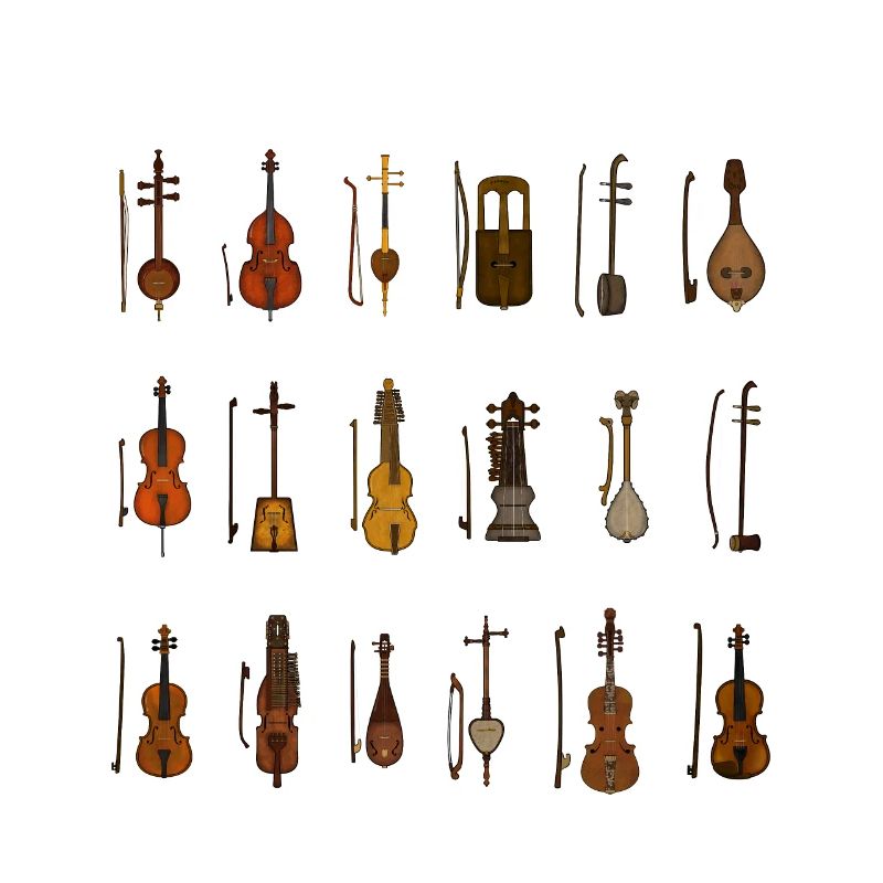 Various String Instruments