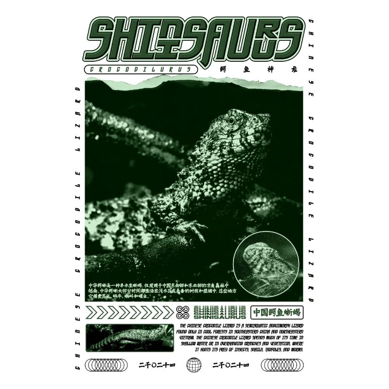 Chinesisches Krokodil Eidechse Shinisaurus Crocodilurus