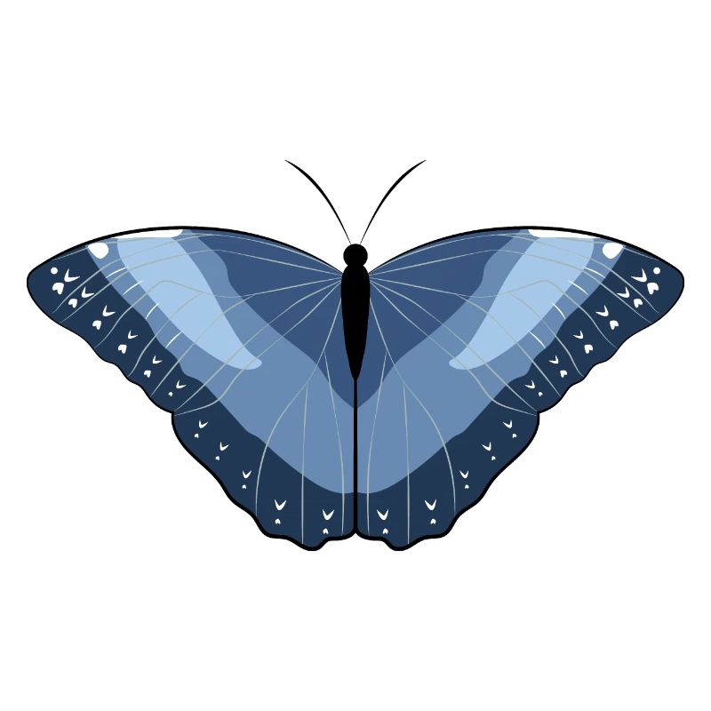 Flying Artwork - Butterfly