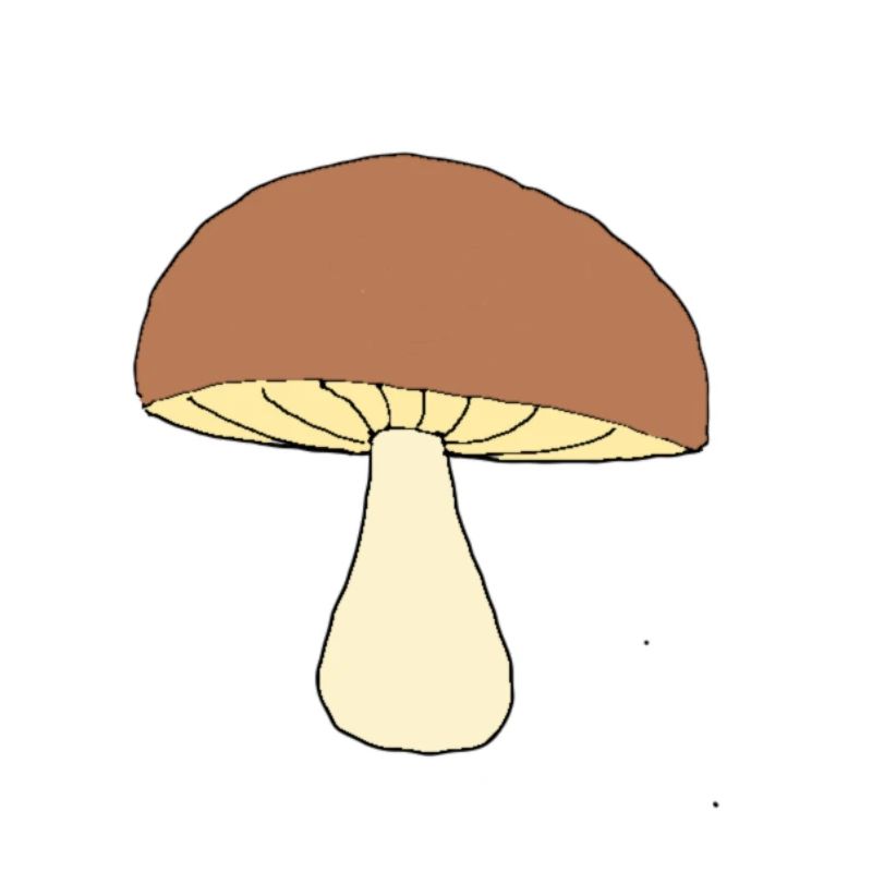 pilz braun Geschenkidee