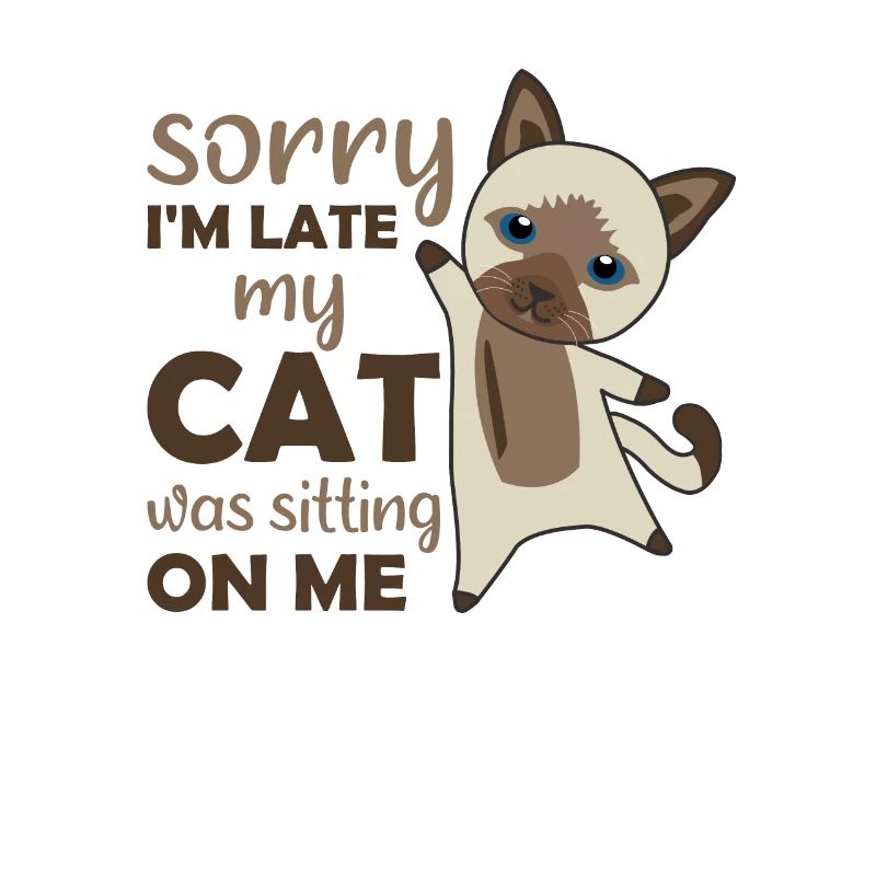Chat Chat Chat Rigolo rigolo