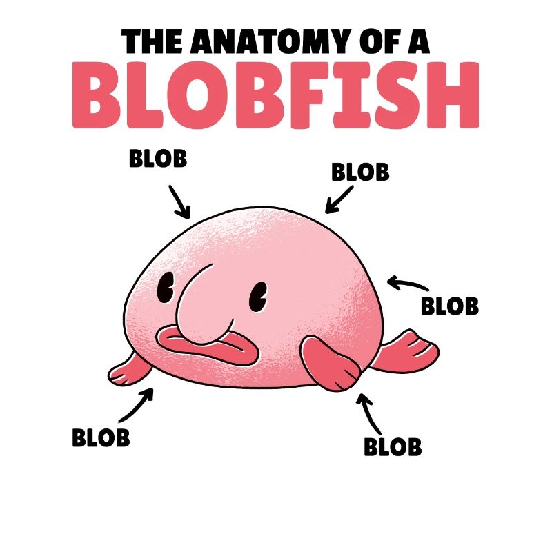 Blobfish Explication Anatomie d’un Blobfish