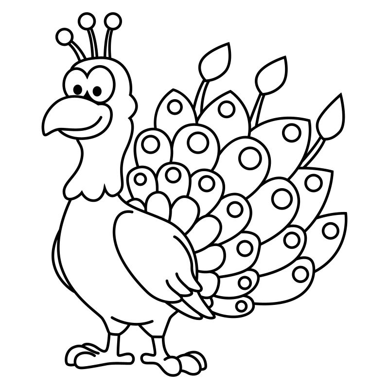 Paon Comic Animal