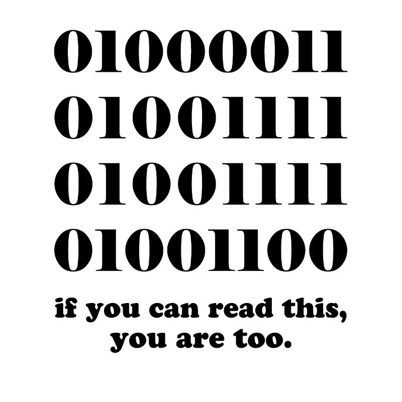 Computer binary code developers gift