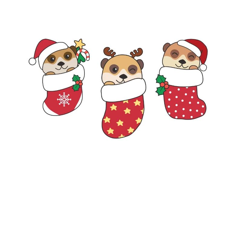 Mignon suricate en chaussette de Noël aussi