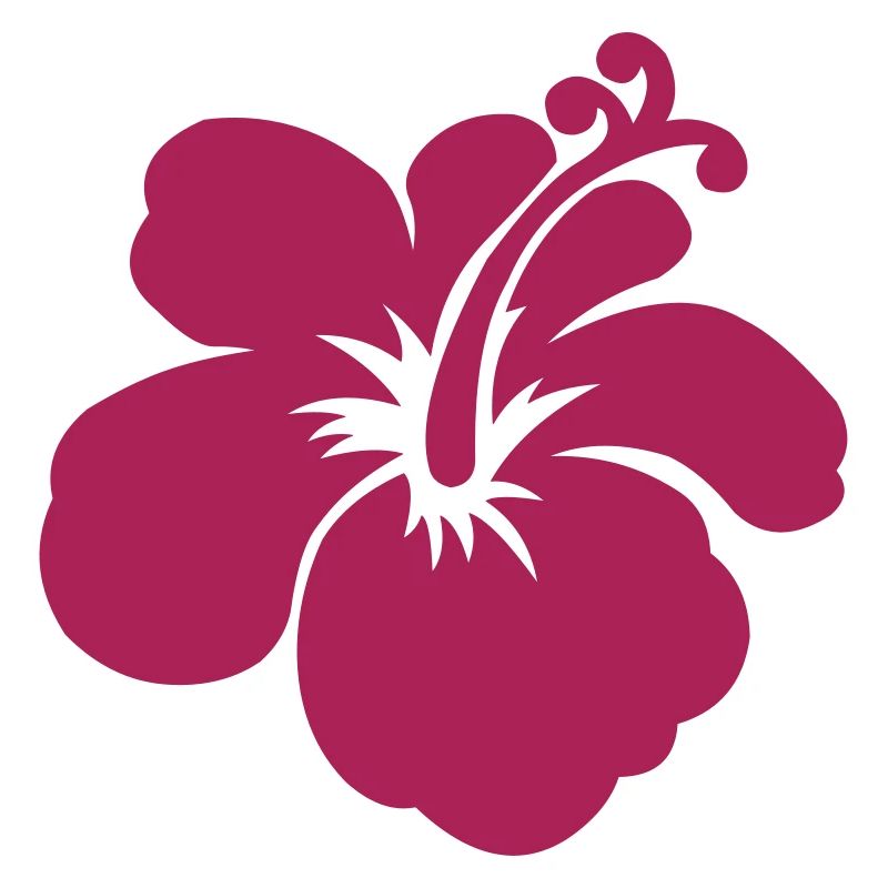 fleur d'hibiscus
