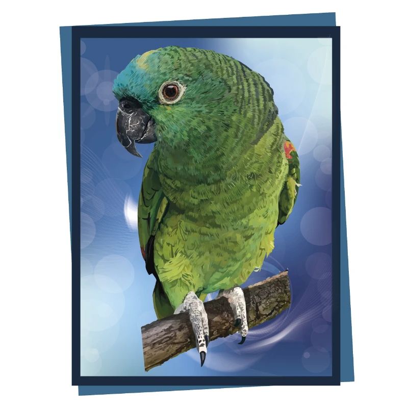 The blue-fronted amazon