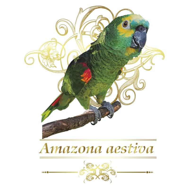 L’amazone à front bleu