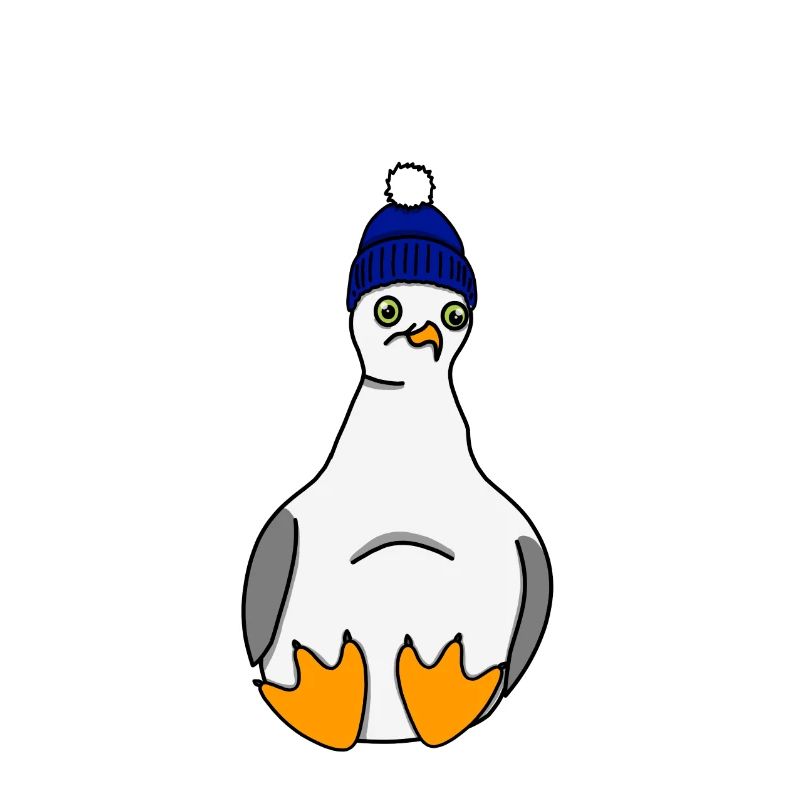 Möwe mit Mütze - Vogel Meer Ostsee