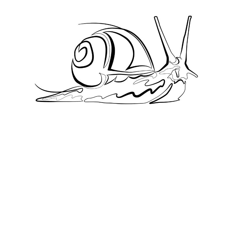 Schnecke - one line drawing