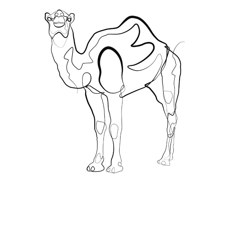 Kamel Dromedar - one line drawing