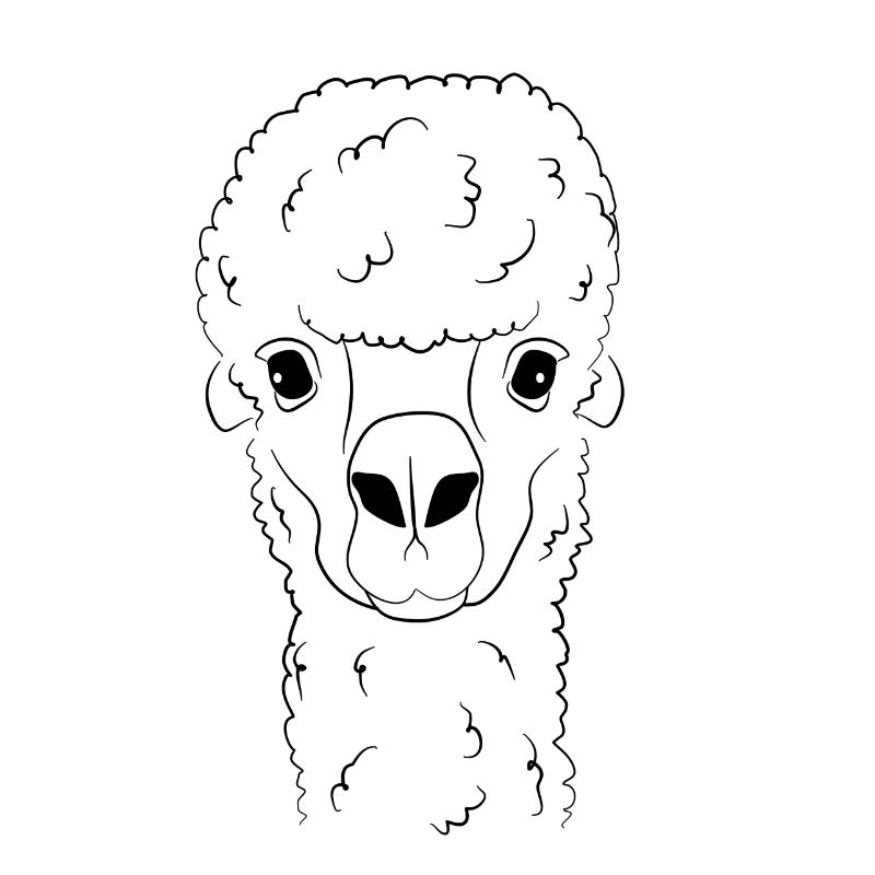 Llama head