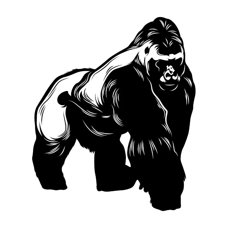 Gorilla Animal