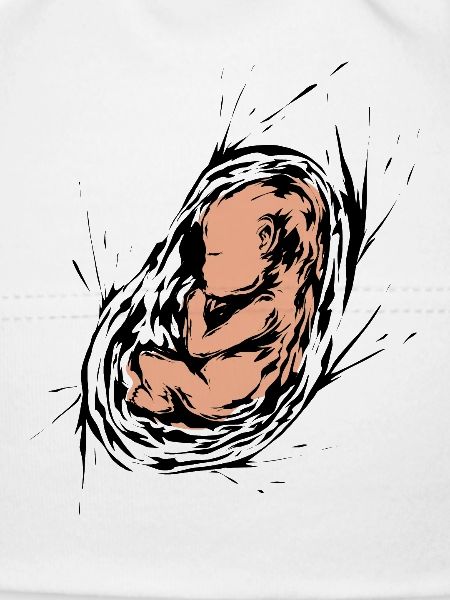 Grossesse Bébé Embryon