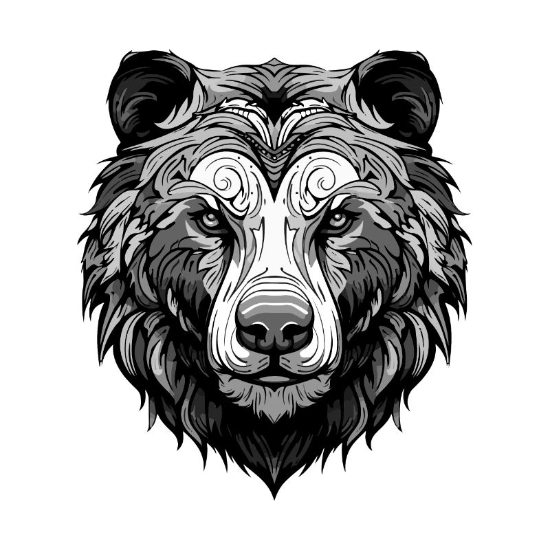 Eisbär Portrait Polar bär
