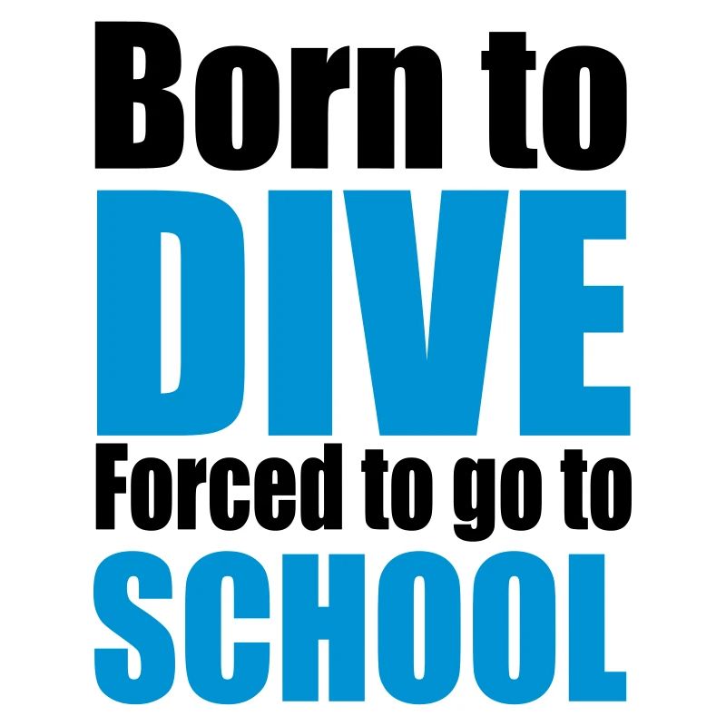 2541614 13314411 dive