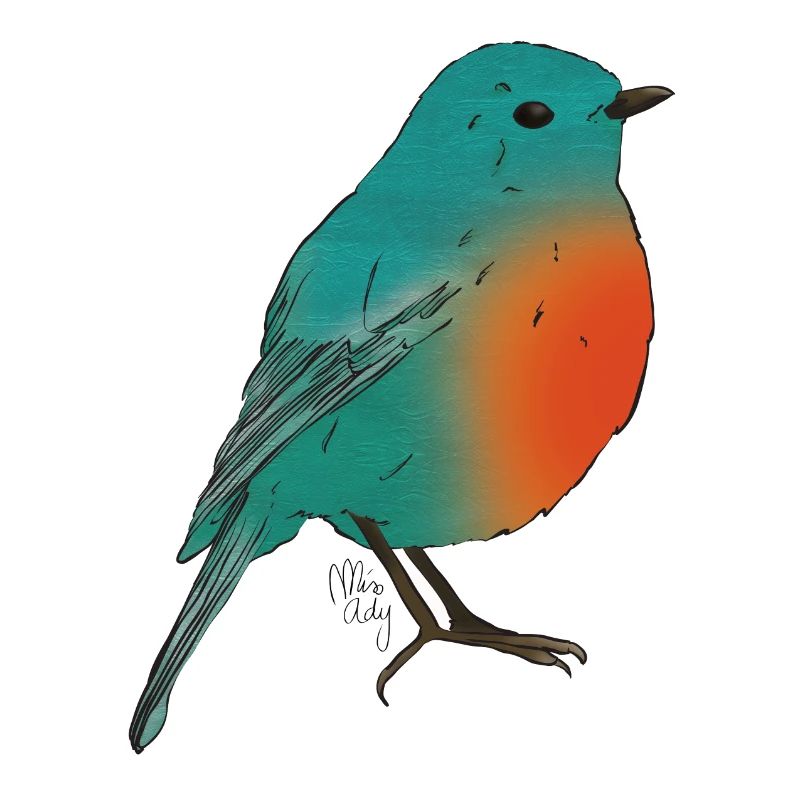 oiseau1