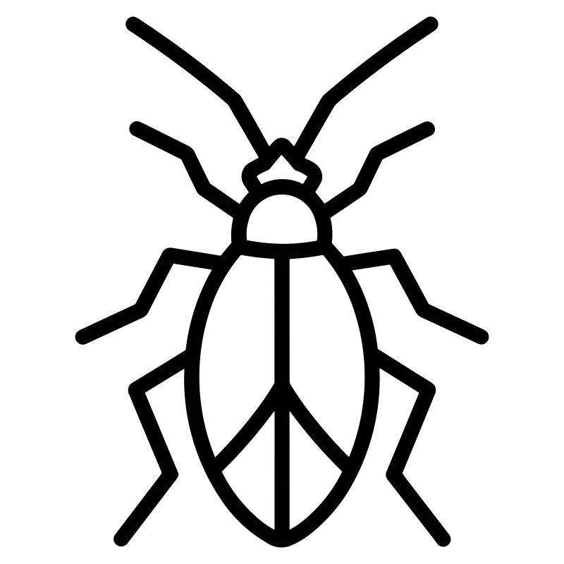 Aphid