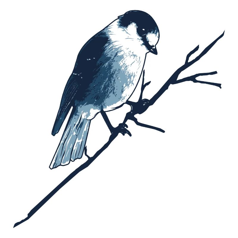 Sparrow on branch