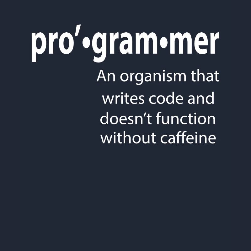 Programmeur - Coder - Hacker - IT