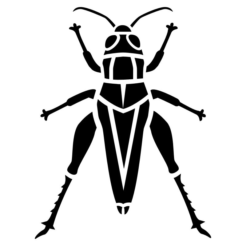 Insectes - Grasshopper