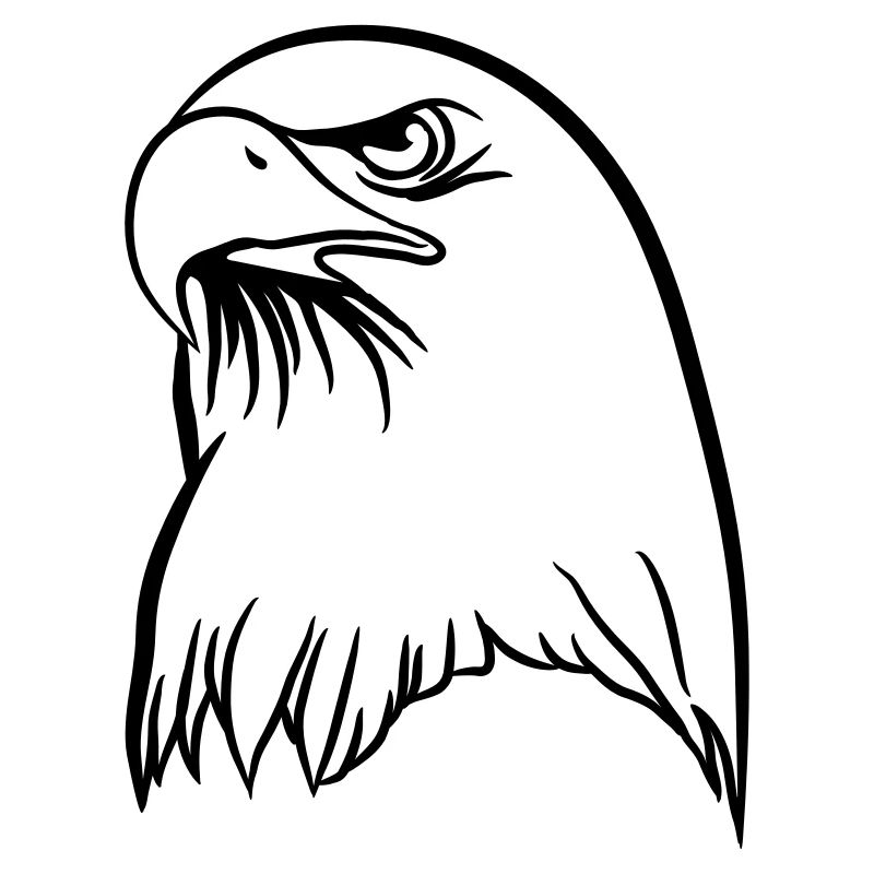 Liberté de l'aigle