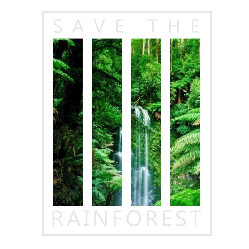 Save the rainforest