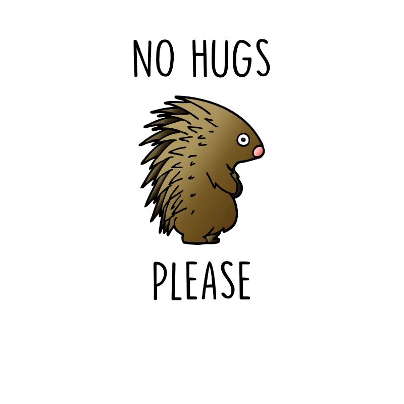 No Hugs Please Hedgehog