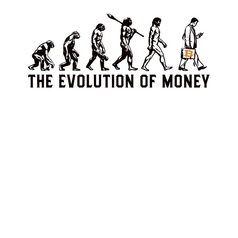 Bitcoin Plan B BTC Satoshi Crypto Hodl Maximaliste