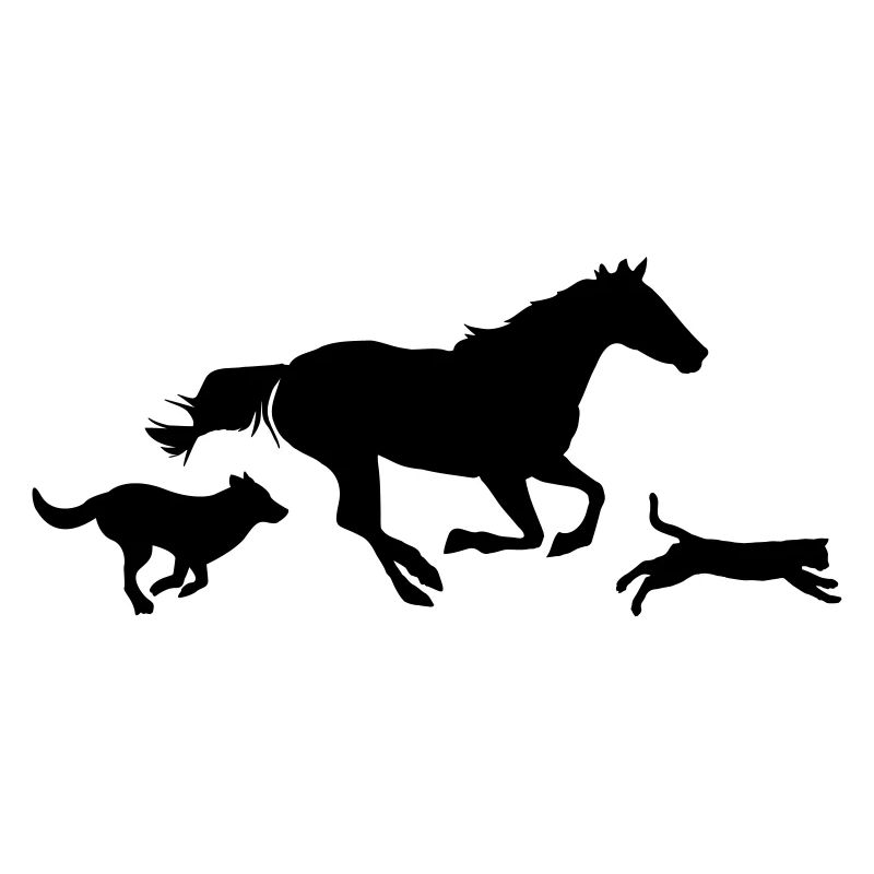 Chien chat cheval