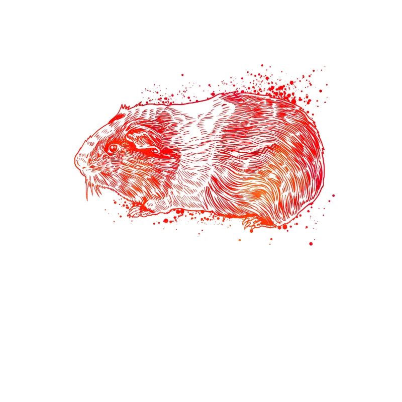 Dessin coloré d’un cochon d’Inde