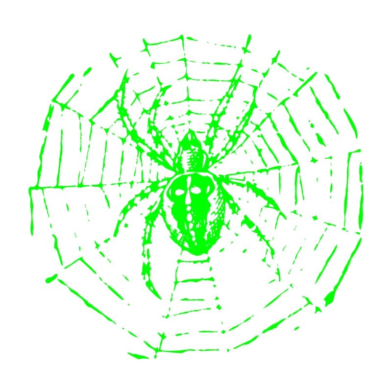 Araignée de jardin