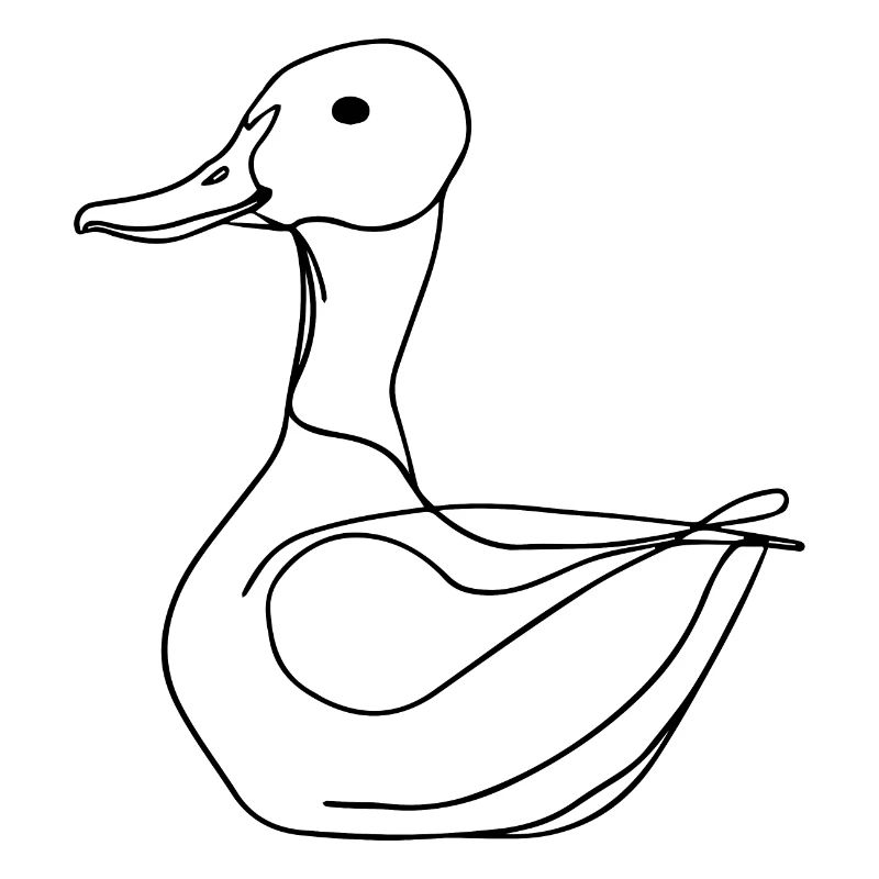 Duck Ducks