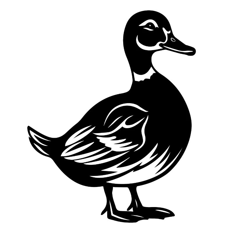 Duck Ducks