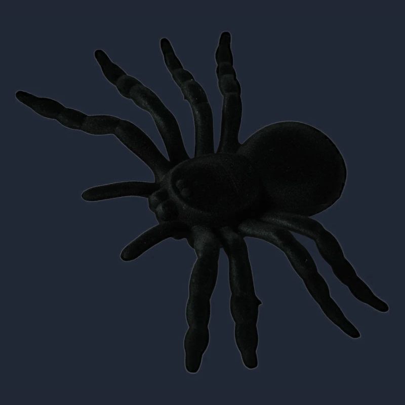 Spider Web, Spider Web, Spider Phobia, Disgusting Gift