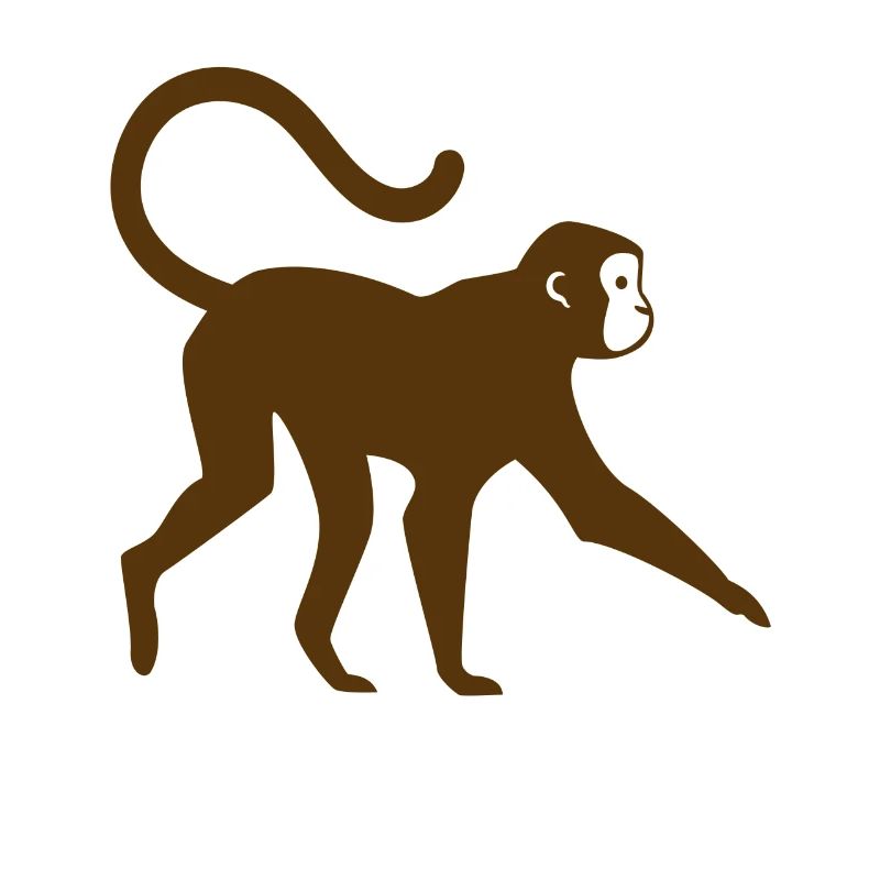 Monkey Monkey Face Wilderness Wild Animals Wild Gift