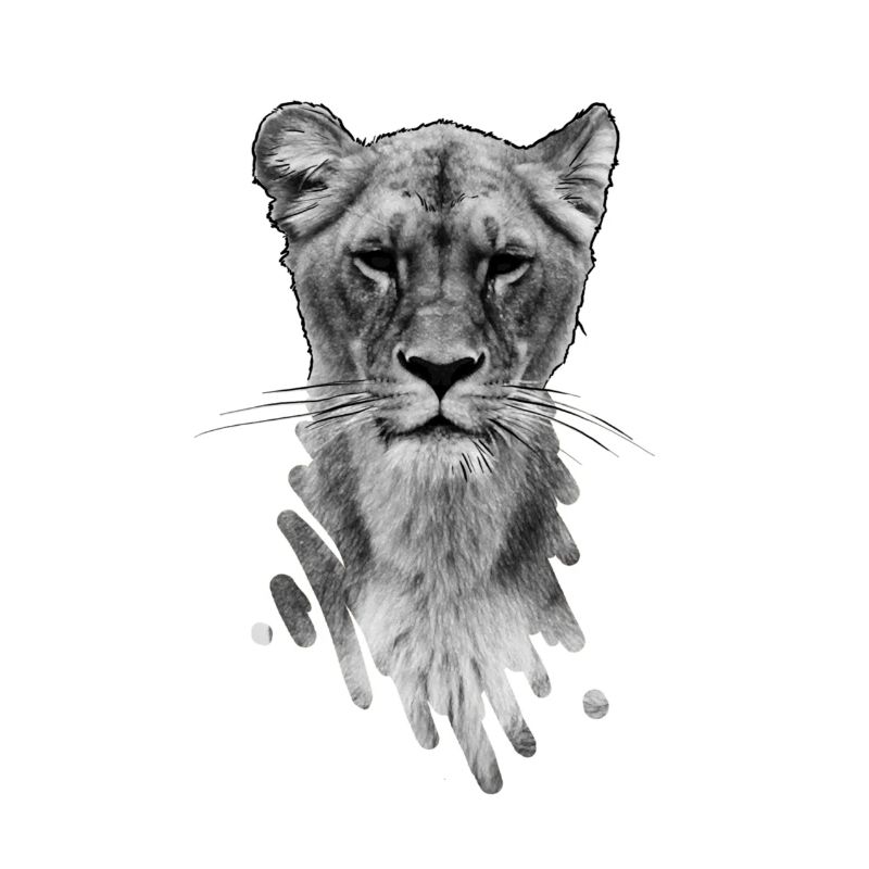 lioness