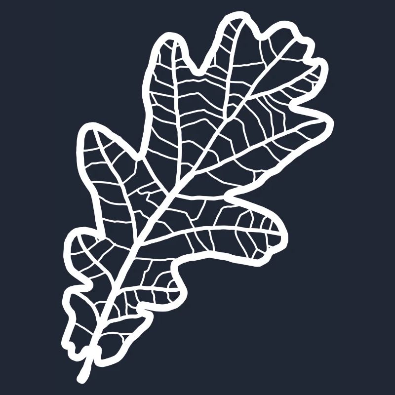 Eiche Eichenblatt Eichenlaub Eichen Oak Leaf Baum