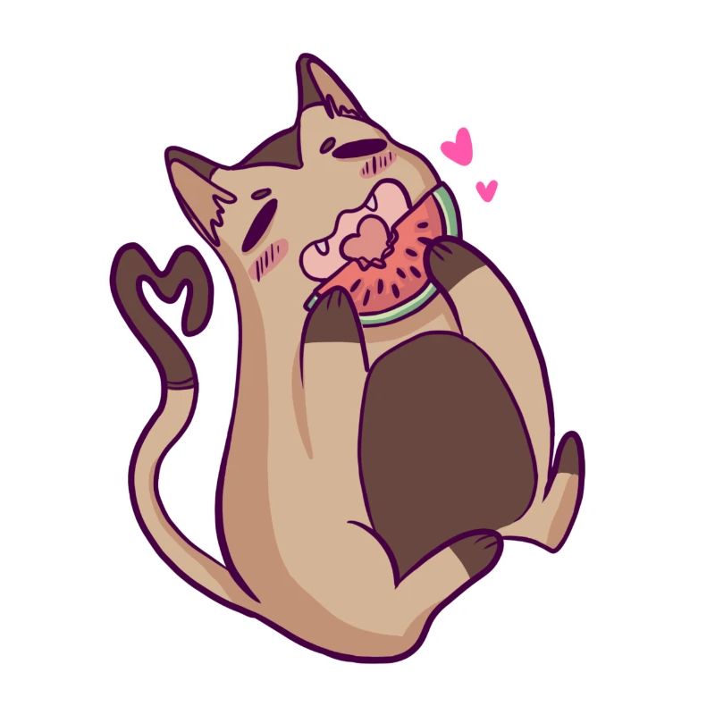 CHAT